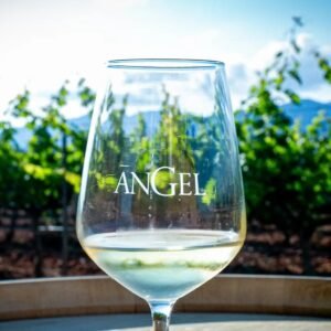 bono regalo bodegas angel